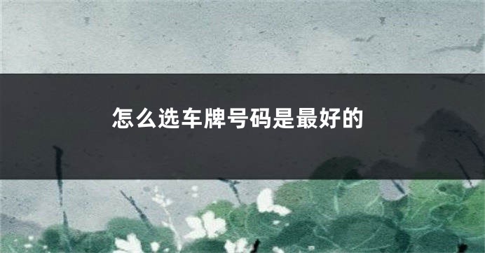 怎么选车牌号码是最好的