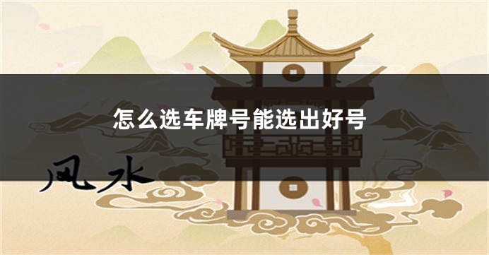 怎么选车牌号能选出好号