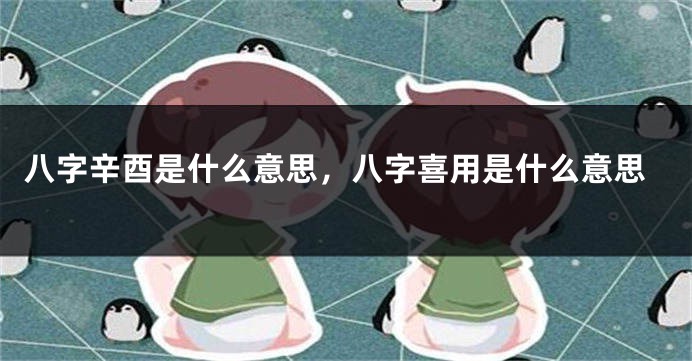 八字辛酉是什么意思，八字喜用是什么意思
