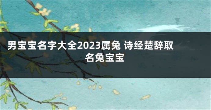 男宝宝名字大全2023属兔 诗经楚辞取名兔宝宝