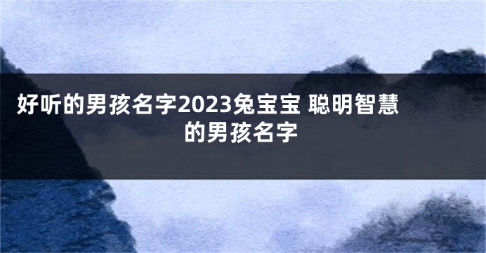 好听的男孩名字2023兔宝宝 聪明智慧的男孩名字