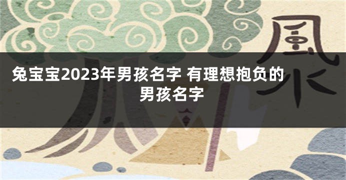 兔宝宝2023年男孩名字 有理想抱负的男孩名字