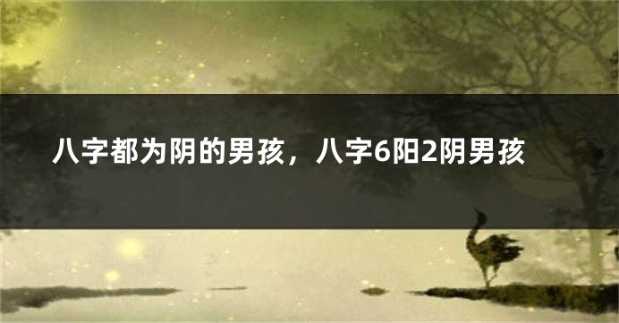 八字都为阴的男孩，八字6阳2阴男孩
