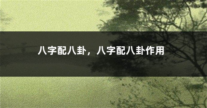 八字配八卦，八字配八卦作用