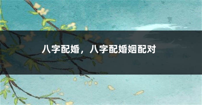八字配婚，八字配婚姻配对