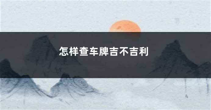 怎样查车牌吉不吉利