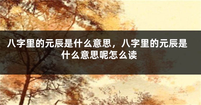 八字里的元辰是什么意思，八字里的元辰是什么意思呢怎么读