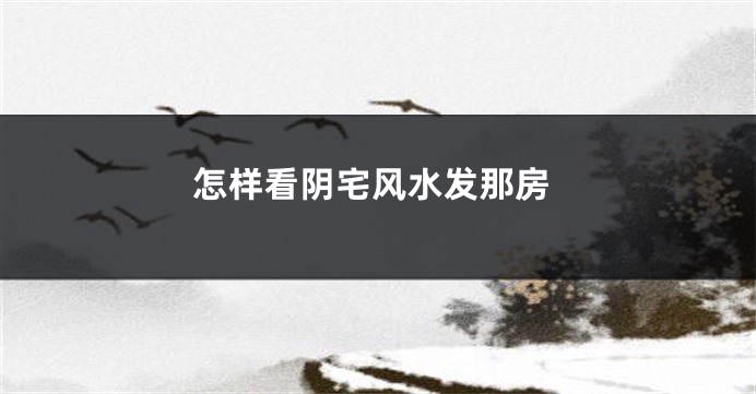 怎样看阴宅风水发那房