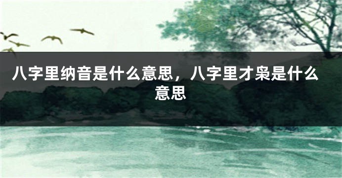 八字里纳音是什么意思，八字里才枭是什么意思