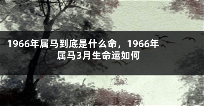 1966年属马到底是什么命，1966年属马3月生命运如何