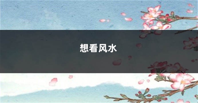 想看风水