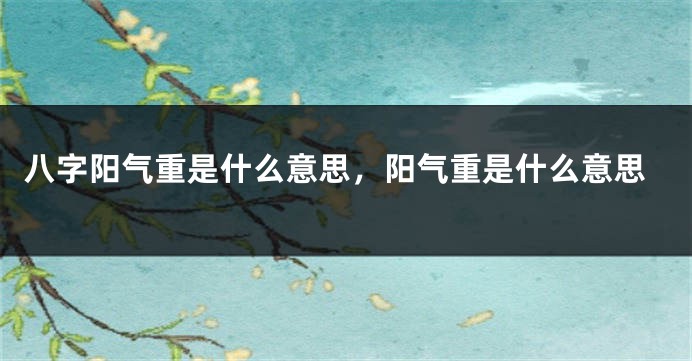 八字阳气重是什么意思，阳气重是什么意思