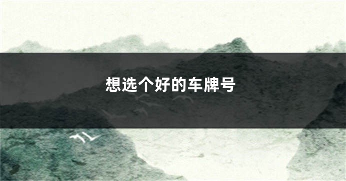 想选个好的车牌号
