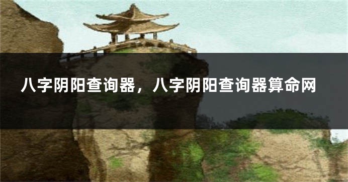 八字阴阳查询器，八字阴阳查询器算命网