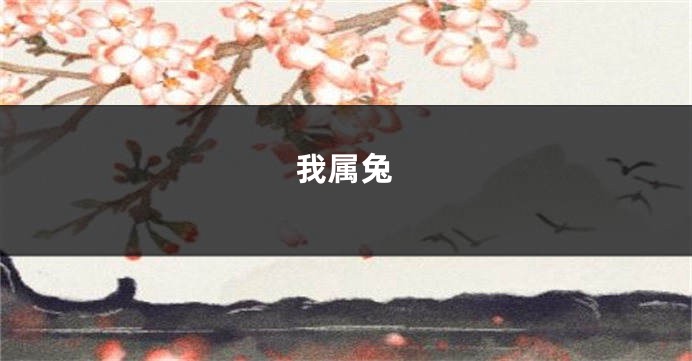 我属兔