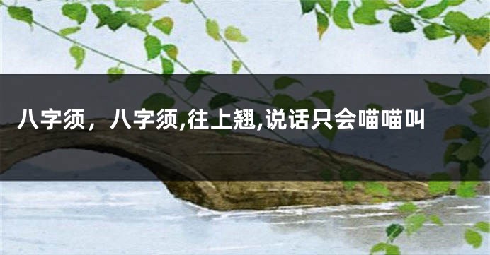 八字须，八字须,往上翘,说话只会喵喵叫