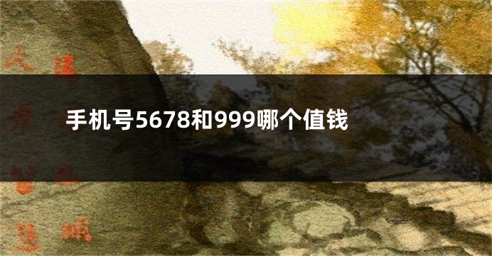 手机号5678和999哪个值钱