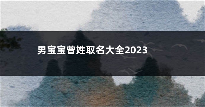 男宝宝曾姓取名大全2023