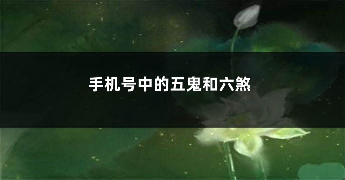 手机号中的五鬼和六煞