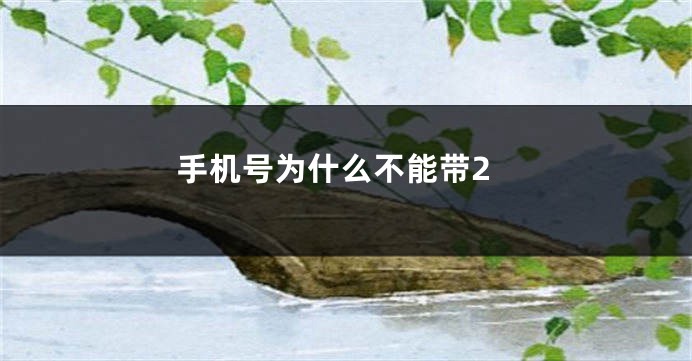 手机号为什么不能带2