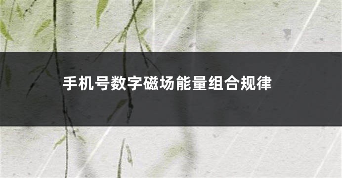 手机号数字磁场能量组合规律