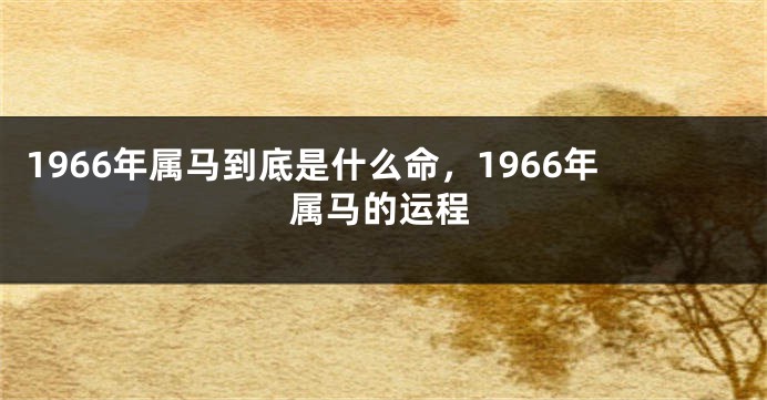 1966年属马到底是什么命，1966年属马的运程