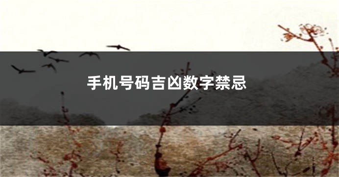 手机号码吉凶数字禁忌