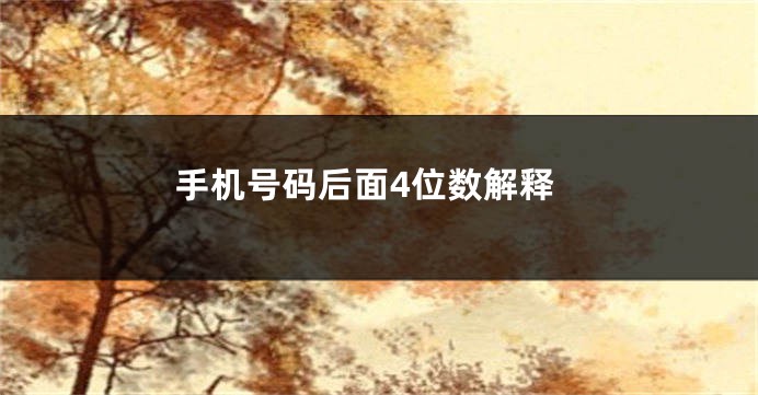 手机号码后面4位数解释