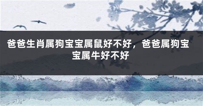 爸爸生肖属狗宝宝属鼠好不好，爸爸属狗宝宝属牛好不好