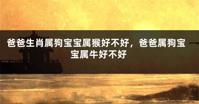 爸爸生肖属狗宝宝属猴好不好，爸爸属狗宝宝属牛好不好
