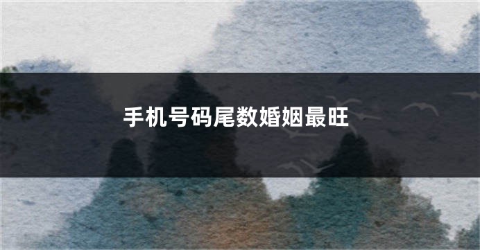 手机号码尾数婚姻最旺
