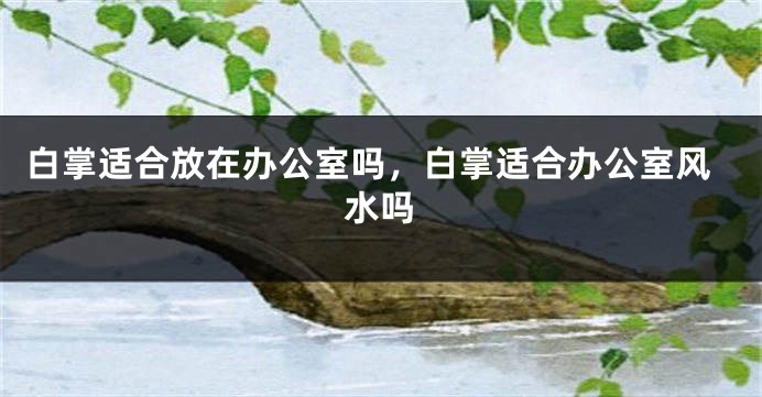 白掌适合放在办公室吗，白掌适合办公室风水吗