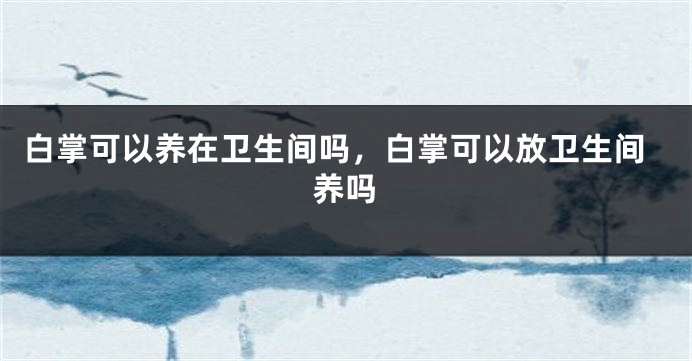 白掌可以养在卫生间吗，白掌可以放卫生间养吗