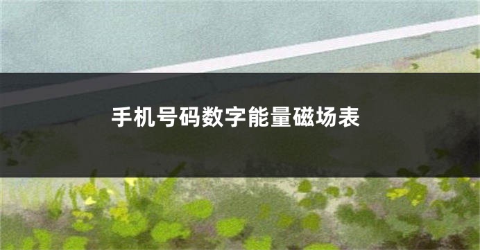 手机号码数字能量磁场表