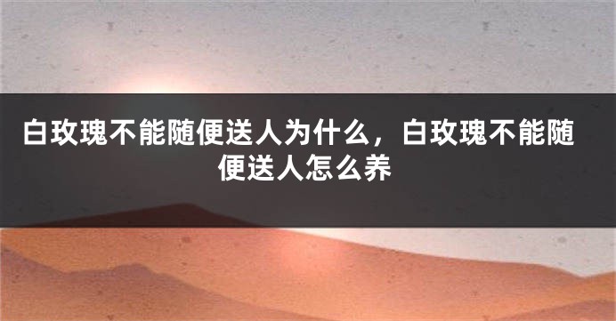 白玫瑰不能随便送人为什么，白玫瑰不能随便送人怎么养