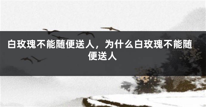 白玫瑰不能随便送人，为什么白玫瑰不能随便送人