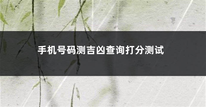 手机号码测吉凶查询打分测试