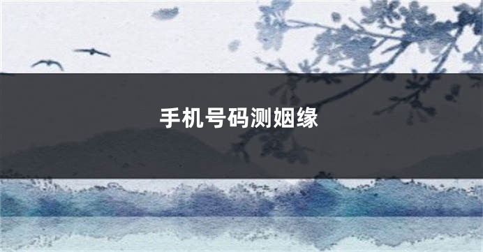 手机号码测姻缘