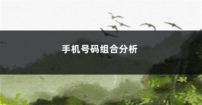 手机号码组合分析