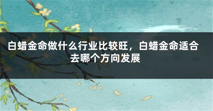 白蜡金命做什么行业比较旺，白蜡金命适合去哪个方向发展