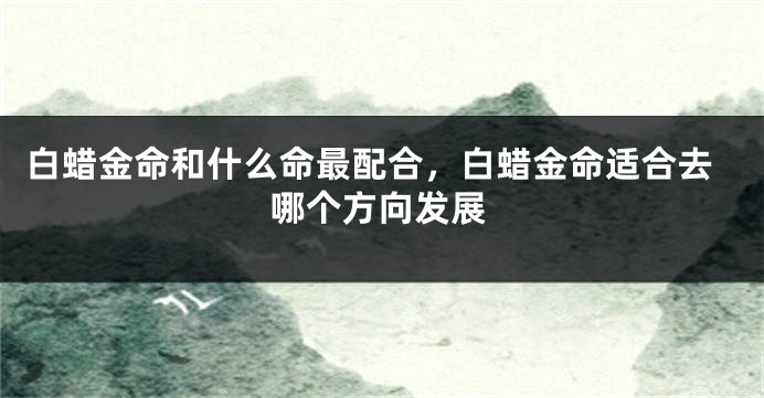 白蜡金命和什么命最配合，白蜡金命适合去哪个方向发展