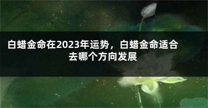 白蜡金命在2023年运势，白蜡金命适合去哪个方向发展