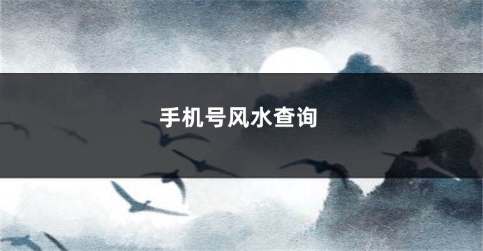 手机号风水查询