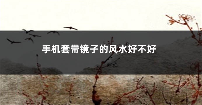 手机套带镜子的风水好不好
