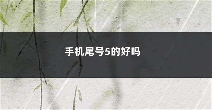 手机尾号5的好吗