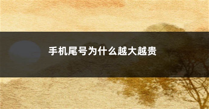 手机尾号为什么越大越贵