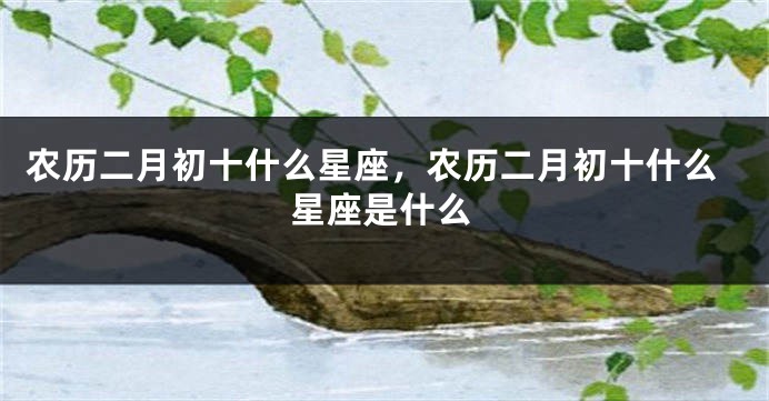 农历二月初十什么星座，农历二月初十什么星座是什么