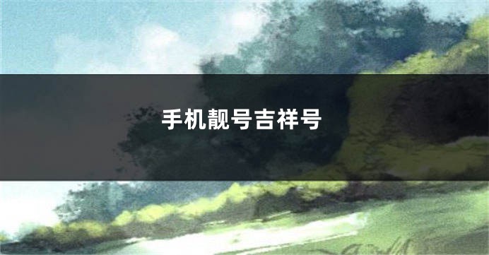 手机靓号吉祥号