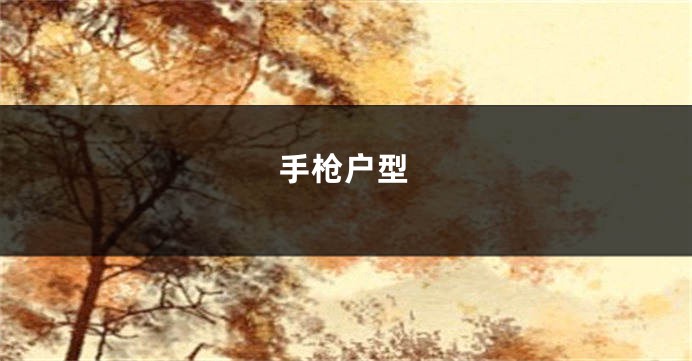 手枪户型