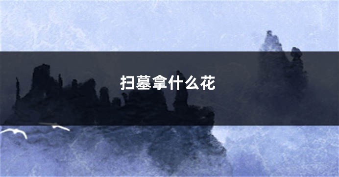扫墓拿什么花